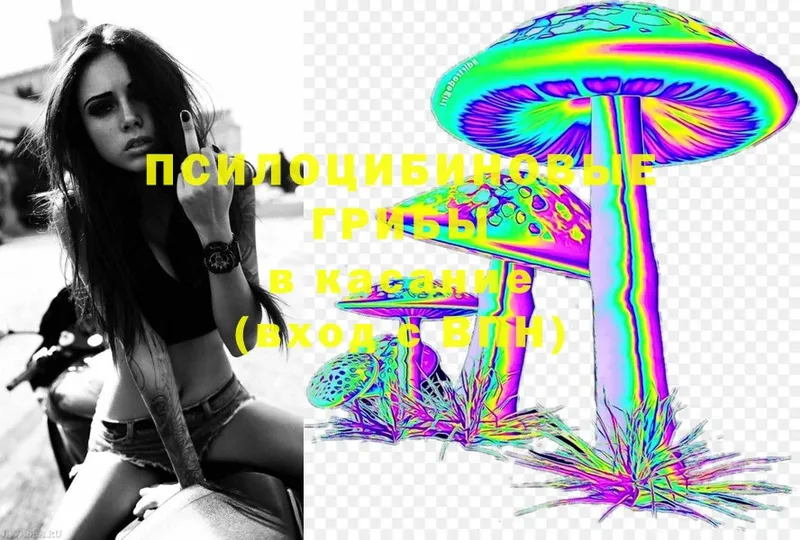 Псилоцибиновые грибы MAGIC MUSHROOMS  Балашов 